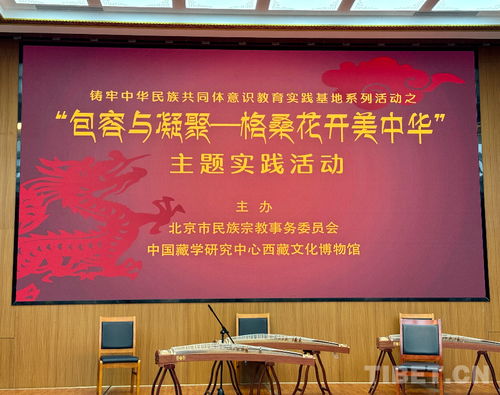 包容与凝聚 格桑花开美中华 主题实践活动在西藏文化博物馆举行